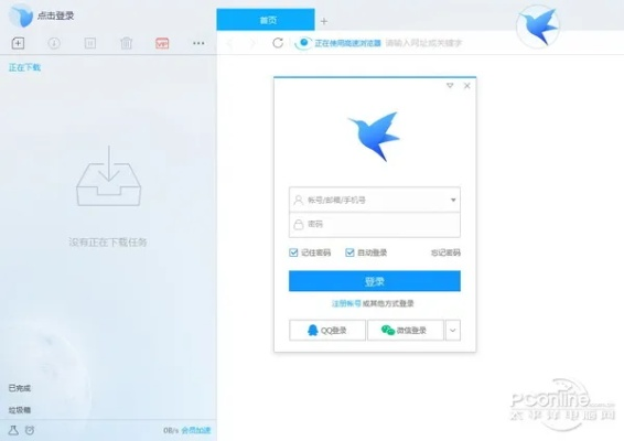 迅雷下载软件选择指南，适合入门级与专业级用户