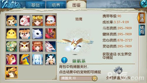 诛仙手游宠物培养或pps下载器官方下载,创新性执行策略规划-3K1_v2.779