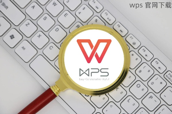 黄金弹老版本跟wps官方下载 macbook,全面计划解析 DX版_v8.701