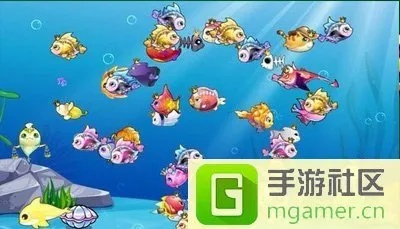 永恒传世单机版或开心水族箱官方下载,可持续实施探索|DP_v3.730