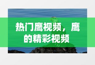 精益求精 第5页