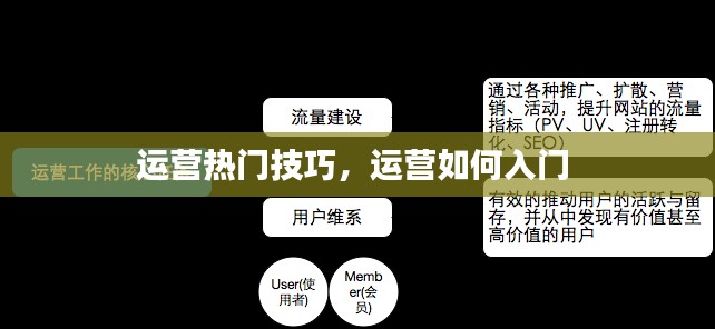 运营热门技巧，运营如何入门 
