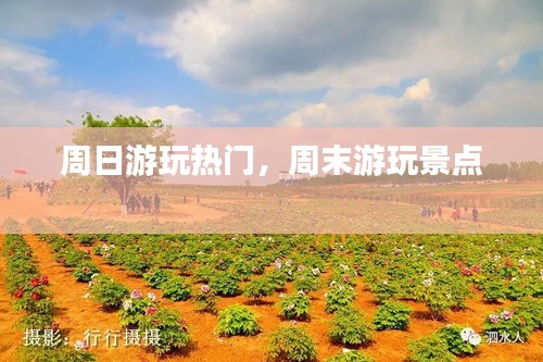 周日游玩热门,周末游玩景点