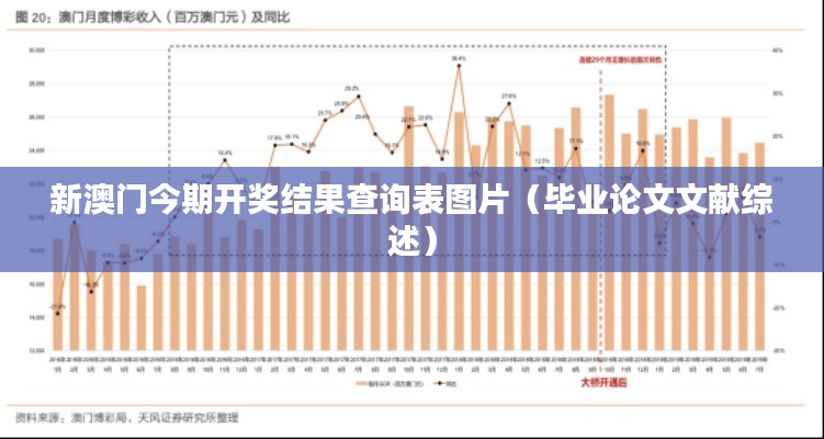 新澳门今期开奖结果查询表图片（毕业论文文献综述）