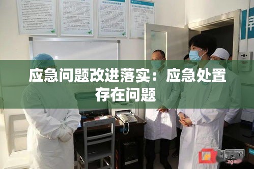 应急问题改进落实：应急处置存在问题 