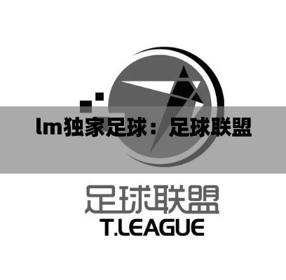 lm独家足球:足球联盟