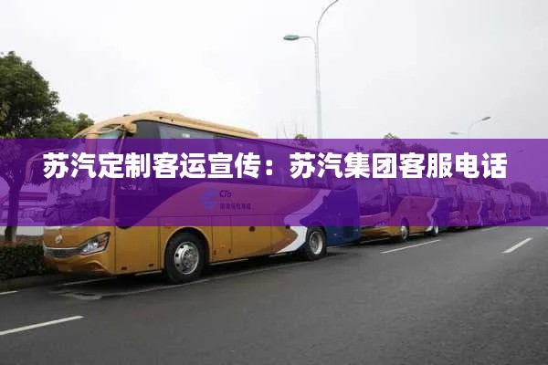苏汽定制客运宣传：苏汽集团客服电话 