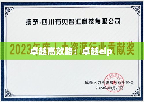 卓越高效路：卓越eip 