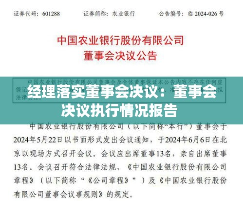 经理落实董事会决议：董事会决议执行情况报告 