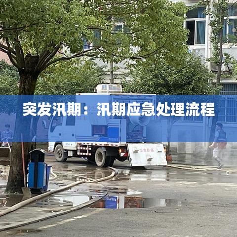 突发汛期：汛期应急处理流程 