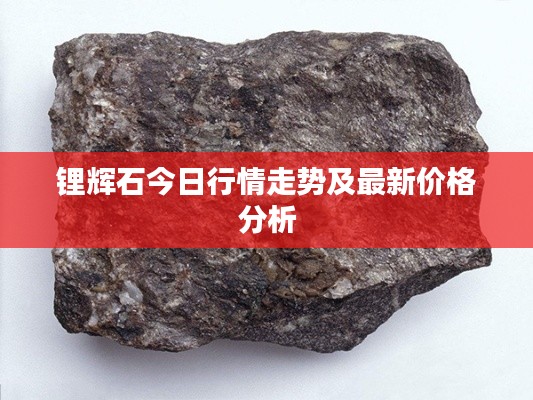 锂辉石今日行情走势及最新价格分析