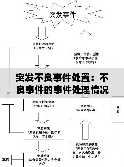 突发不良事件处置：不良事件的事件处理情况 