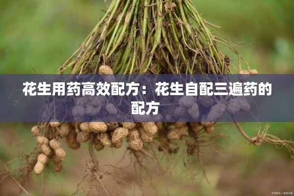 花生用药高效配方：花生自配三遍药的配方 