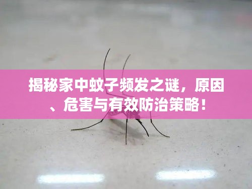 揭秘家中蚊子频发之谜，原因、危害与有效防治策略！