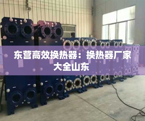 东营高效换热器：换热器厂家大全山东 