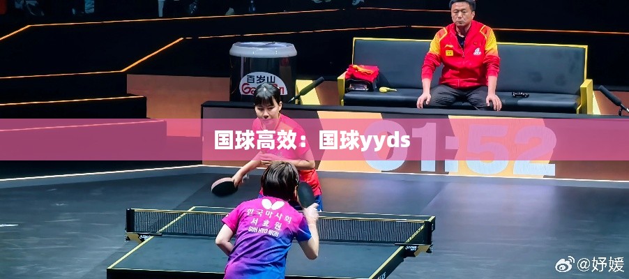 国球高效：国球yyds 