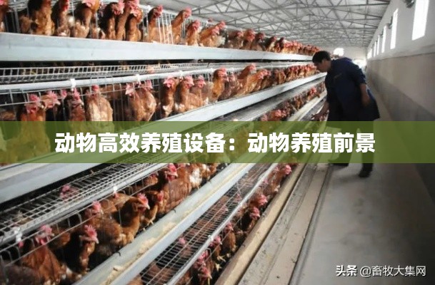 动物高效养殖设备：动物养殖前景 