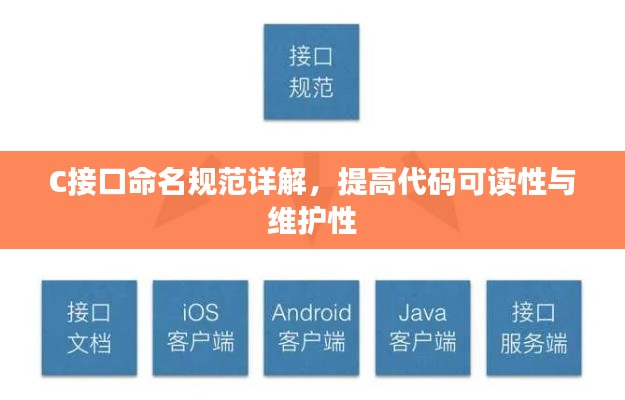 C接口命名规范详解，提高代码可读性与维护性
