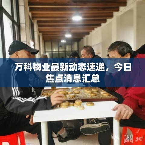 万科物业最新动态速递，今日焦点消息汇总