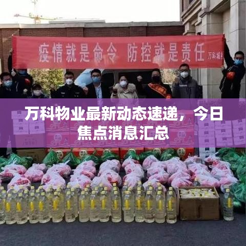 万科物业最新动态速递,今日焦点消息汇总