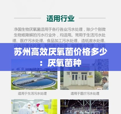 苏州高效厌氧菌价格多少：厌氧菌种 