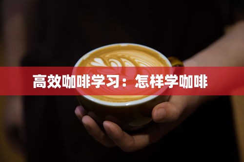 高效咖啡学习:怎样学咖啡