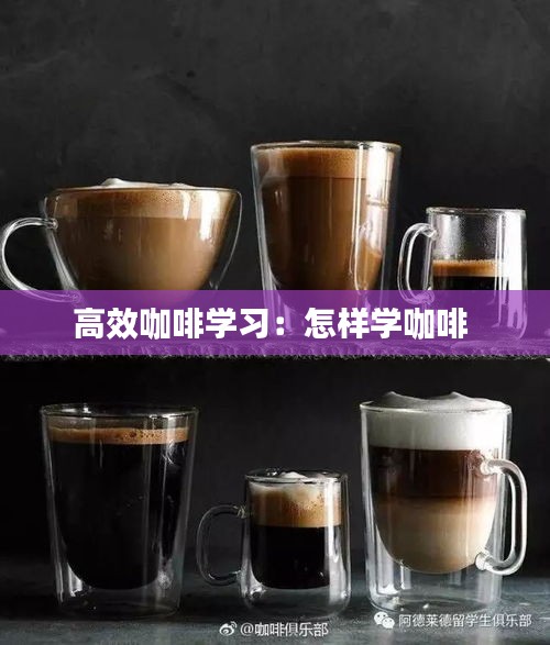 高效咖啡学习:怎样学咖啡