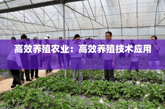 高效养殖农业：高效养殖技术应用 