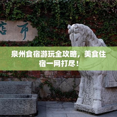 泉州食宿游玩全攻略，美食住宿一网打尽！