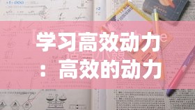 学习高效动力:高效的动力