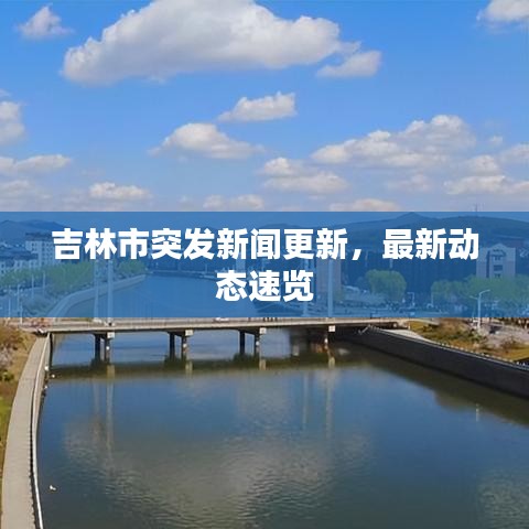 吉林市突发新闻更新，最新动态速览