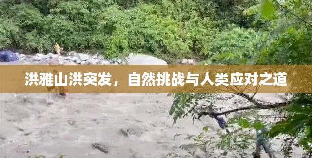 洪雅山洪突发，自然挑战与人类应对之道