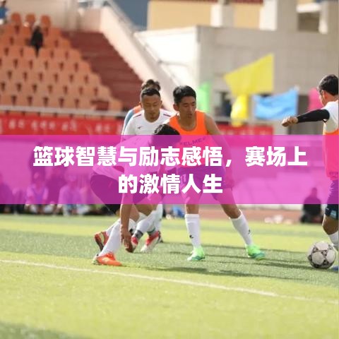 篮球智慧与励志感悟,赛场上的激情人生