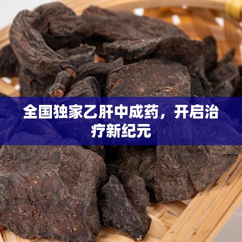 郑重其事 第4页