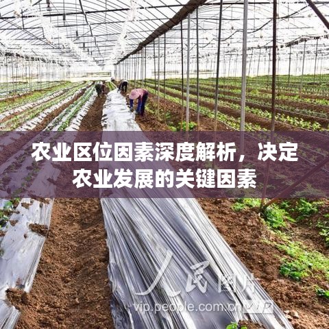 农业区位因素深度解析，决定农业发展的关键因素