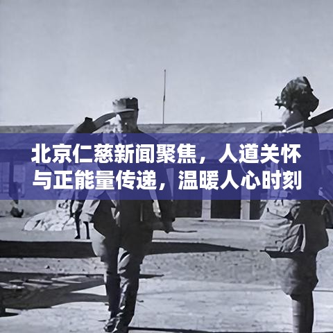 北京仁慈新闻聚焦,人道关怀与正能量传递,温暖人心时刻