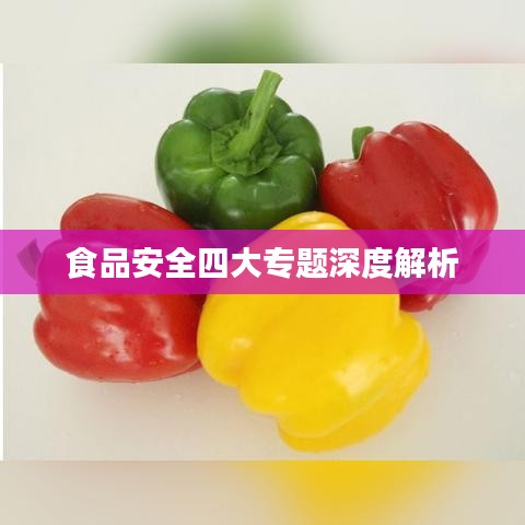 食品安全四大专题深度解析