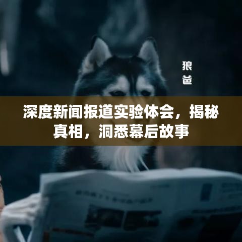 深度新闻报道实验体会，揭秘真相，洞悉幕后故事
