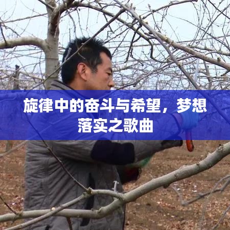 旋律中的奋斗与希望,梦想落实之歌曲