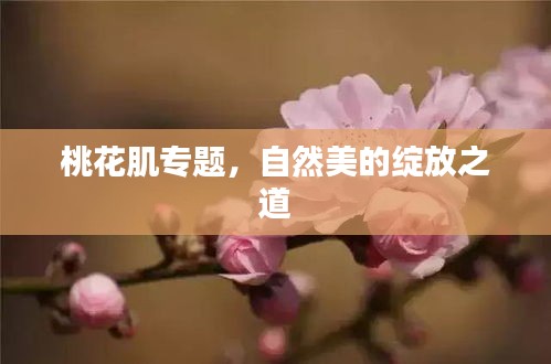 桃花肌专题,自然美的绽放之道