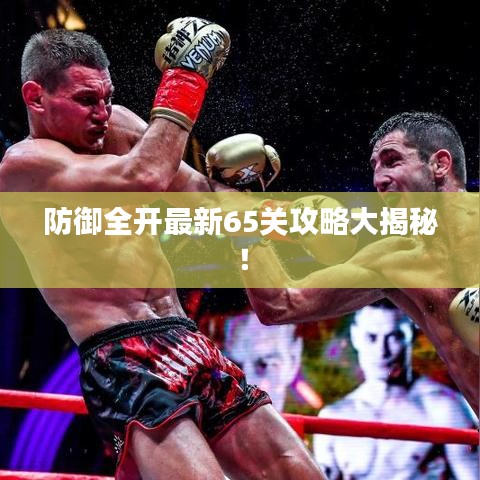 防御全开最新65关攻略大揭秘！