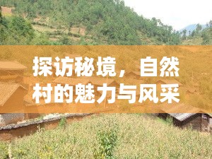 探访秘境，自然村的魅力与风采