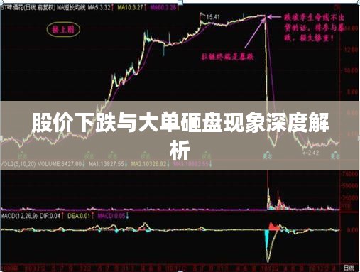 股价下跌与大单砸盘现象深度解析