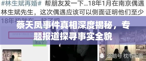 蔡天凤事件真相深度揭秘，专题报道探寻事实全貌