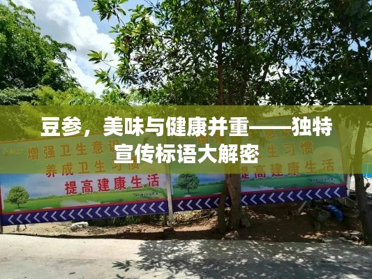 豆参，美味与健康并重——独特宣传标语大解密