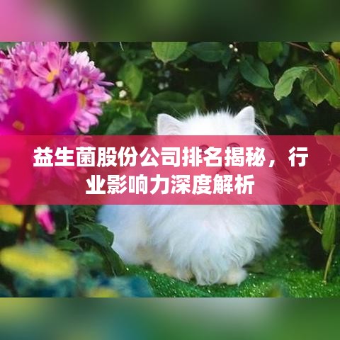 益生菌股份公司排名揭秘,行业影响力深度解析