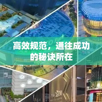 高效规范，通往成功的秘诀所在