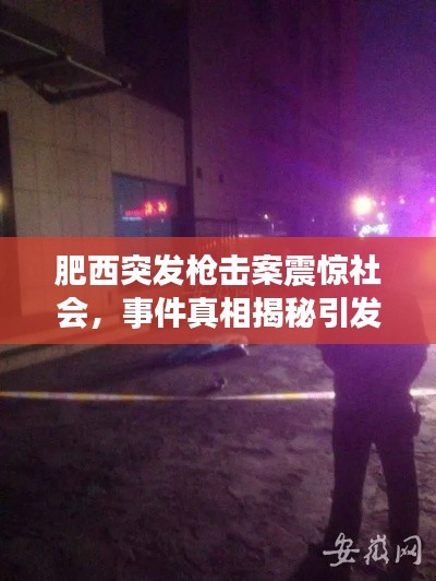 肥西突发枪击案震惊社会，事件真相揭秘引发关注热议