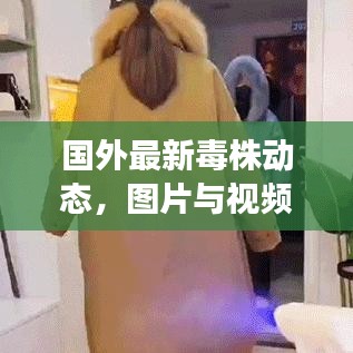 国外最新毒株动态,图片与视频报告揭秘最新进展