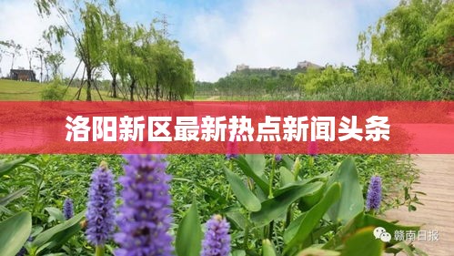 洛阳新区最新热点新闻头条
